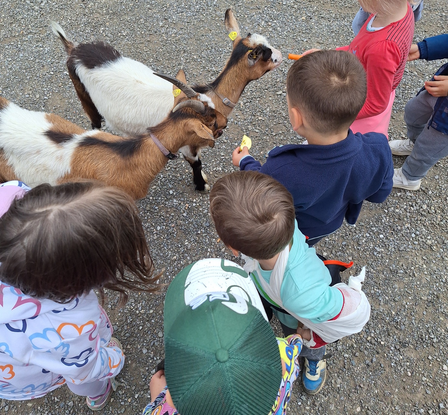 Pfarrkindergarten Pernegg