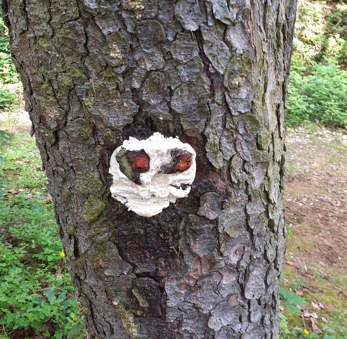 Pfarrkindergarten Pernegg