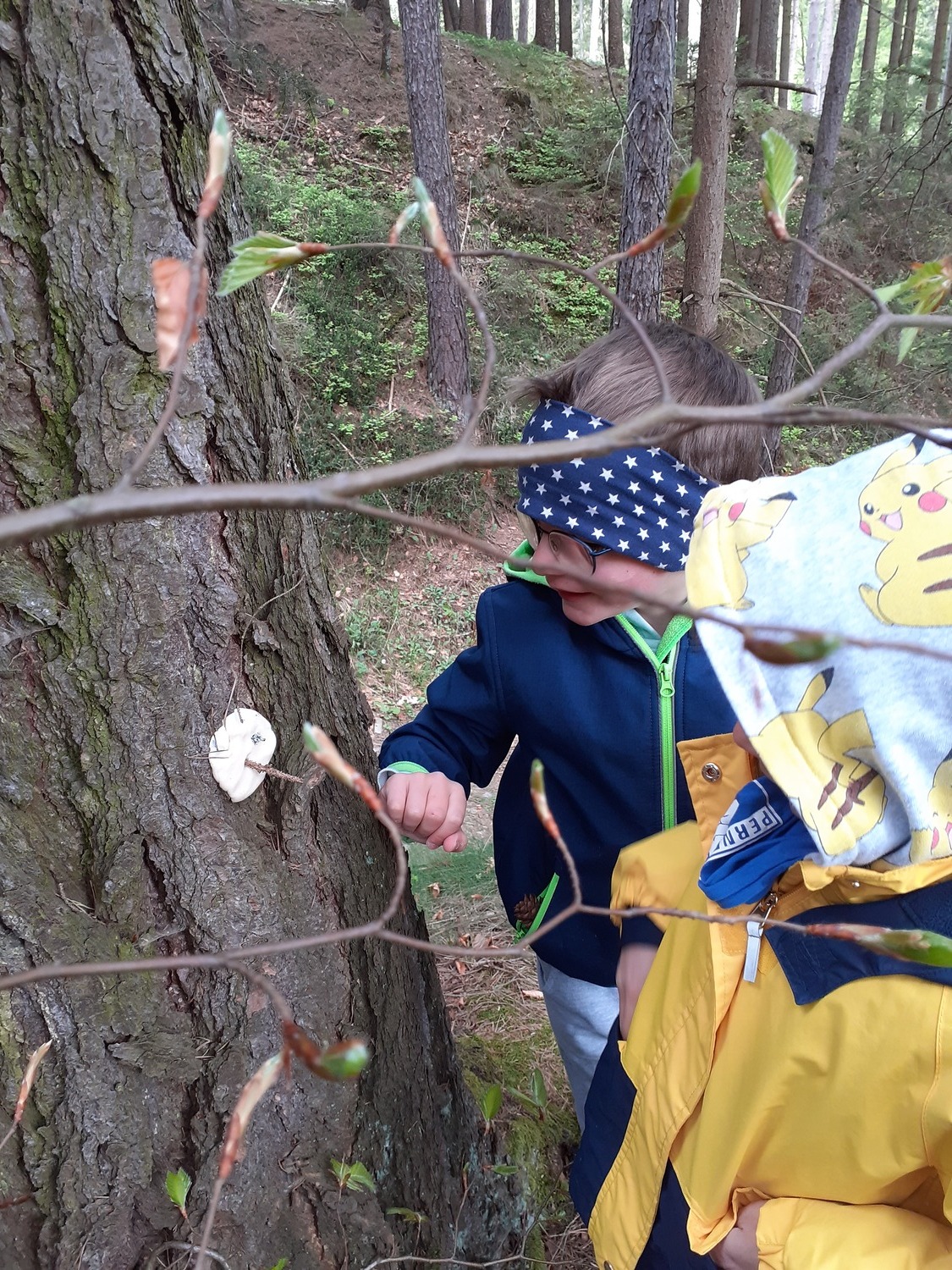 Pfarrkindergarten Pernegg