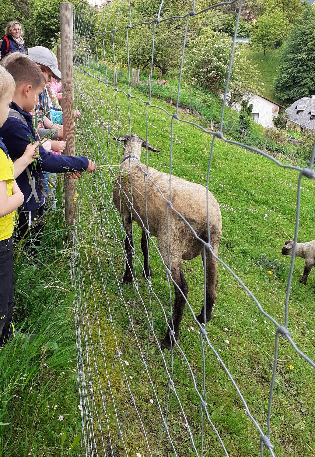 Pfarrkindergarten Pernegg